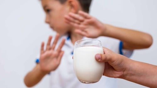 Susu Kambing Untuk Anak Alergi Susu Sapi